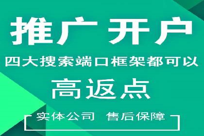 百度广告推广费用案例分享：从零到百万的飞跃